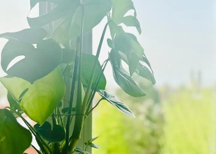 아파트 Green&comfy Zoliborz 바르샤바